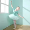 Mädchen Ballett Kleid Kinder Trainingsrock Kinder Kostüm Trikot Für Gymnastik Tutu Klassische Tanzkleidung Kurze Lange Ärmel 240111