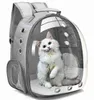 Cat Carriers Crates Husar Pet Carrier Ryggsäck Transparent kapsel Bubble Small Animal Puppy Kitty Bird Bitable för Travelvaiduryd