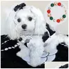 Luxury Bead Dog Collars Fashion Designer Halsband inomhus utomhus schnauzer persisk katt neddy droppleverans dhbfm