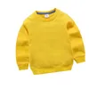 Pullover Spring Autumn Children Solid tröja långärmad baby pojkar flickor bomulls topp barn kläder tröjor vinter botten shirtl2401