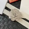 AAAA Designer Broches Pins Kristal Merklogo Grote Geschenken Hoge Kwaliteit Koperen Sieraden Nooit vervagen Sieraden Met Stempel en Doos Diameter 4 cm