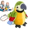 Loro parlante, loro colorido que canta, loro parlante, repite lo que dices, pájaro animado electrónico, juguetes interactivos de peluche 240111