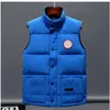 high quality Designer Down Vest pocket jackets womens Parkas long sleeve zipper Badges men downs casual coat vests a5jQ#