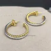 Crystal Dangle Hoops Wholesale Luxury stud Rhinestone Geometric Fashion Wedding Jewelry pearl Earring designer Earrings for women 2023 Trendy orecchini QWWX