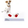 1000pcs Puppy Dog Cat ID Name Address Label Tag Storage Barrel Tube Anti-Lost Pet Identity Candy Color Pendant SN2263