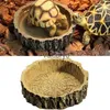 Décorations Fournitures pour reptiles Boîte pour reptiles Bassin d'alimentation pour tortue Résine synthétique Bassin d'eau peu profonde Araignée Serpent Lézard Bassin d'alimentation pour tortuesvaiduryd