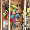 Altre forniture per uccelli 12 pezzi Piccolo giocattolo per pappagalli Gabbia per palline Giocattoli per foraggiamento Palline per becco di macinazione in plastica