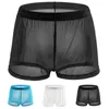 Slips Hommes Transparent Boxer Ultra-mince Maille Slips Couleur Unie Ceinture Troncs Léger Respirant Usure Quotidienne Gay Homme Lingerie