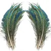 50PcsLot Natural Real Peacock Feathers for Crafts Long Feathers Peacock Feather Peacock Jewelry Peacock Decor Plumas Carnaval 240111