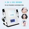 Equipamento de RF Máquina de massagem facial de oxigênio Oxigênio Facial Small Bubble Co2 Bubble Facial Skin Care Machine