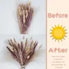 Decorative Flowers Ocedes 40pcsPampa Bouquet Natural Dried Flower Boho Home Decor Wedding Centerpieces For Tables Pampas Grass Decoration