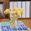 Fleurs décoratives 10 pièces jaune séché Craspedia or orbes Eternell préservé stabilisé Billy Ball mariage décor à la maison décoration