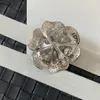 AAAA Designer Broches Pins Kristal Merklogo Grote Geschenken Hoge Kwaliteit Koperen Sieraden Nooit vervagen Sieraden Met Stempel en Doos Diameter 4 cm