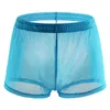 Slips Hommes Transparent Boxer Ultra-mince Maille Slips Couleur Unie Ceinture Troncs Léger Respirant Usure Quotidienne Gay Homme Lingerie