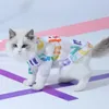 犬のアパレルフーポ猫服薄い操り人形キッテンブルーサマー夏の男性子猫ベストペットペットアンチヘアロス