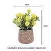 Fleurs décoratives Mini plantes artificielles bonsaï petite plante en pot Simulation fausse fleur décorations de Table de bureau décoration de jardin de maison