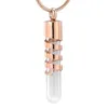 Chaînes IJD10271 Tube de verre en acier inoxydable Souvenir de crémation pour porte-urne de cendres Collier commémoratif Pendentif Bijoux