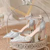 Sapatos de vestido tamanho 30-44 salto robusto prata casamento noiva dama de honra saltos altos ponto toe pérolas mulheres