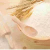 Dinnerware Sets 2pcs Milk Powder Spoon Mini Wood Spoons Short Handle Ice Cream Scoop Kitchen Tea Accessories