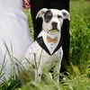 Coleiras para cães Coleira para animais de estimação para cães elegante bandana de casamento com arco ajustável fantasia festa charmosa babador triangular