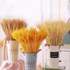 Kwiaty dekoracyjne 50pcs pszenica naturalna suszona stopniowa bukiet sztuczne rośliny na dekorację walentynki Prezent Wesele