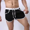 Shorts pour hommes Nouveaux hommes plage courte malles été Shorts décontractés Sexy hommes Shorts séchage rapide vêtements plage vacances Shorts noirs pour MaleL240111