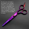 Profesjonalne 6 -calowe nożyczki do włosów Przerzedzenie fryzjer ścinania włosów narzędzia nożyc