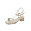 Sandaler Kvinnor Luxury Open Toe 2024 Summer Chunky Heel Transparent Women's Party Dress Ladies Shoes Zapatos Mujer