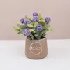 Fleurs décoratives Mini plantes artificielles bonsaï petite plante en pot Simulation fausse fleur décorations de Table de bureau décoration de jardin de maison