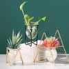 Vaser Bonsai Planter Metal Hollow Frame Glass Vase Hydroponic Plant Flower Pot