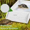 Fournitures pour reptiles Plate-forme de baignade pour tortues Grande capacité Réservoir d'élevage d'animaux de compagnie antidérapant Modèle de jeu Bassin de bain pour reptiles Terrasse pour tortues Fournitures pour animaux de compagnievaiduryd