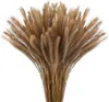 Fleurs décoratives 30 / 60pcs Pampas séchés moelleux Grass Natural Broho Home Kitchen Wedding Floral Arrangement Bouquet Decor Fall