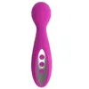 Vuxna sexleksaker produkter vibrerande stick mini laddad elektrisk massage kvinnlig masturator vibrator 231129
