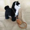 Musica per bambini Giocattoli sonori Robot Gatto Peluche elettronico Canzoni Canzoni Dog Walk Gattino elettrico Guinzaglio Controllo Gattino Animale domestico Giocattolo animale carino Bambini Giftvaiduryb