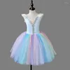 Stage Wear Jupe de ballet pour enfants Fille Fluffy Fil Little Swan Dance Robe de performance colorée