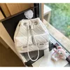 Backpack Designer Mini Womens Zapsack Luxurys Borse Borse Bag Crossbody School 22*26cm Chanei 23b