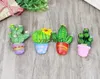 Lodówka magnesy 3D Piękne rośliny kaktus