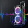 Radio Portable Wireless Trolley Speaker Power Light Stereo Subwoofer Speakers with Tws Sound Box Support Mic Fm Radio Tf Usb