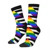 Erkek Çoraplar Erkek Erkekler Harajuku Ally Flag Sock Polyester LGBT Gurur Gökkuşağı Spor Kadın İlkbahar Yaz Sonbahar Kış