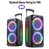 Radio Portable Wireless Trolley Speaker Power Light Stereo Subwoofer Speakers with Tws Sound Box Support Mic Fm Radio Tf Usb