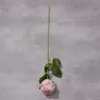 Single Head Rosted Edge Rose Rostad kant Milan Rose Foreign Trade Wholesale Artificial Flower Home Window Decoration Silk Flower Rose XW