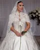 Classic Lace A-Line Wedding Dress Soft Sexy V-Neck Short Sleeve Ball Gown Plus Size Brush Train Bridal Gowns Dress Vestido De Novia Size Customized D-H23918