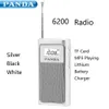 Радио Panda 6200 Радио DSP FM Tf Card Mp3 Встроенная литиевая батарея для зарядки Портативная защита окружающей среды