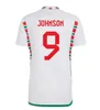 23/24 Pays de Galles Soccer Jerseys Bale Wilson Allen Ramsey Hommes 2022 Coupe finale du monde Joueur Fan Edition Rodon Vokes Accueil Chemise de football à manches courtes Uniformes pour adultes Kit de maillot