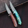 Utomhuskniv trähandtag Damascus Steel VG-10 Blade Multifunktionellt EDC Tool Hunting Self-Defense Pocket Knife