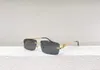 Damen-Sonnenbrille für Damen und Herren, Sonnenbrille für Herren, modischer Stil, schützt die Augen, UV400-Linse, mit zufälliger Box und Etui, 0430S 99