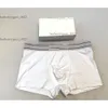 Homens boxers cuecas de algodão clássico arco-íris roupa interior confortável respirável alta qualidade com caixa