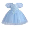 Mädchenkleider Weihnachten Mädchen Partykleid Puffärmel Stickerei Tüll Hochzeit Geburtstag formelle Kinderkleidung