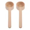 Coffee Scoops 2 Pcs Small Wooden Spoon With Long Handle Ground Household Tea Spoons Beech