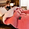 Super Warm Lamb Wool Quilt Winter Thickened Cotton Quilt Warm Cotton Double sided Velvet Soft Large Blanket 240113